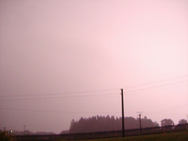 100_1669.jpg