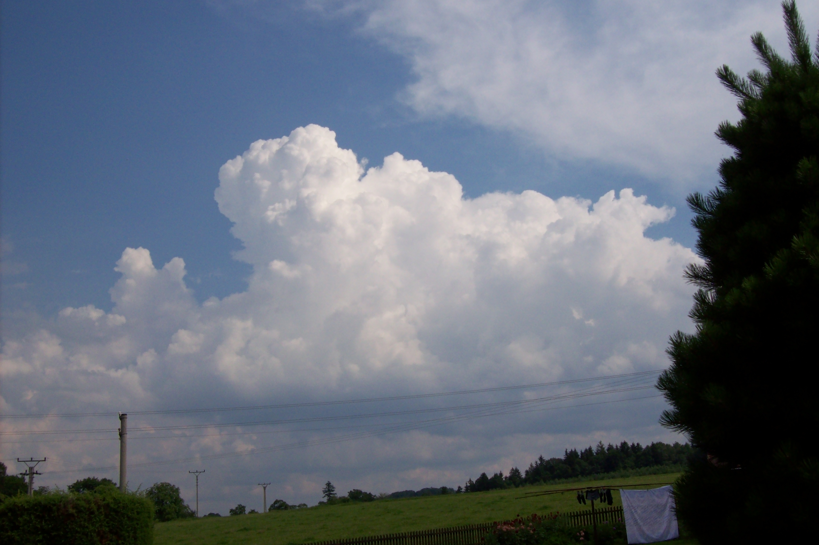 100_0625.jpg
