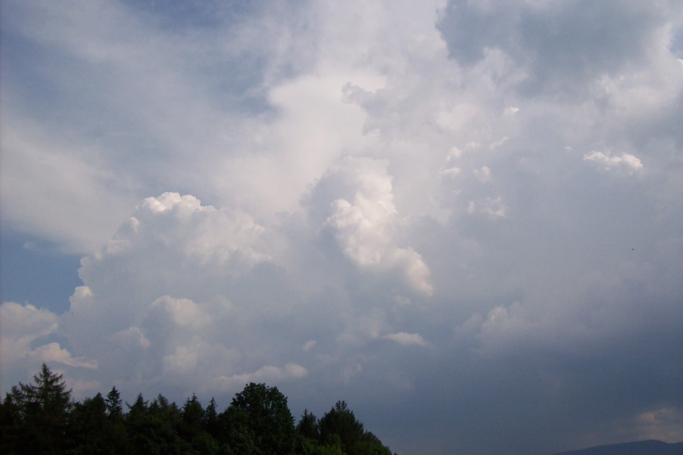 100_0630.jpg