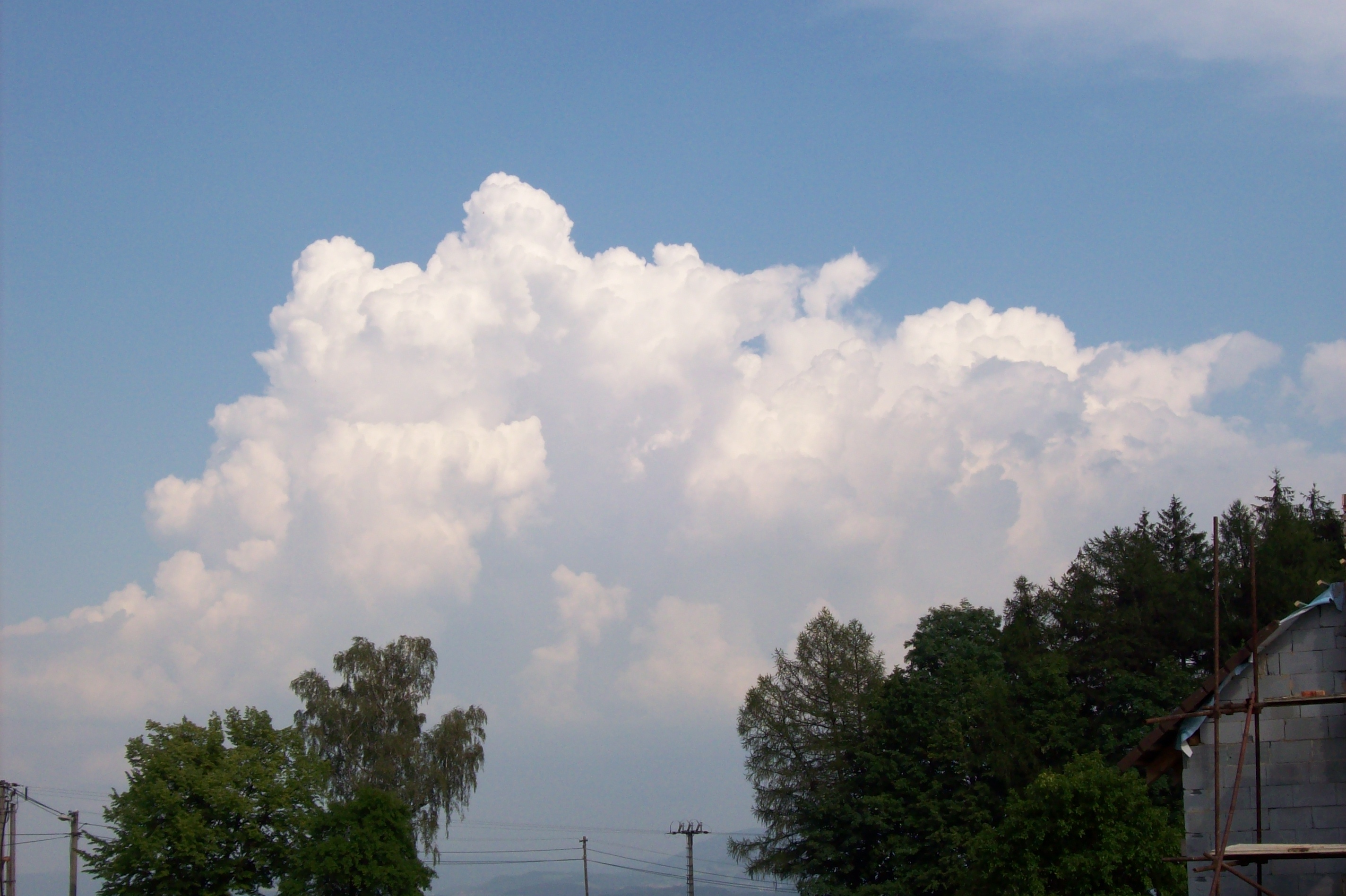 100_0634.jpg