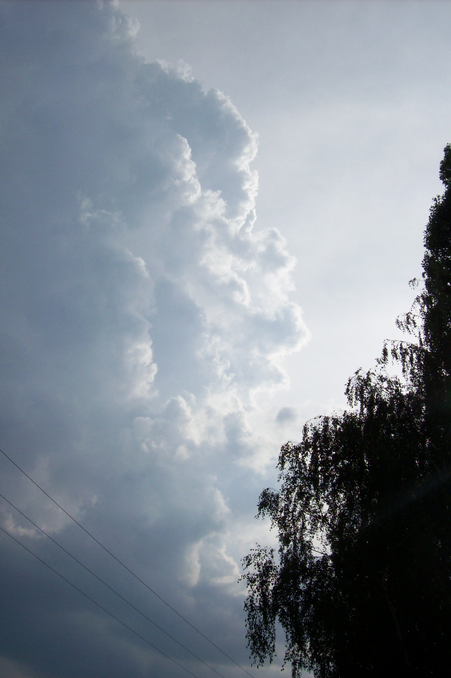 100_0652.jpg