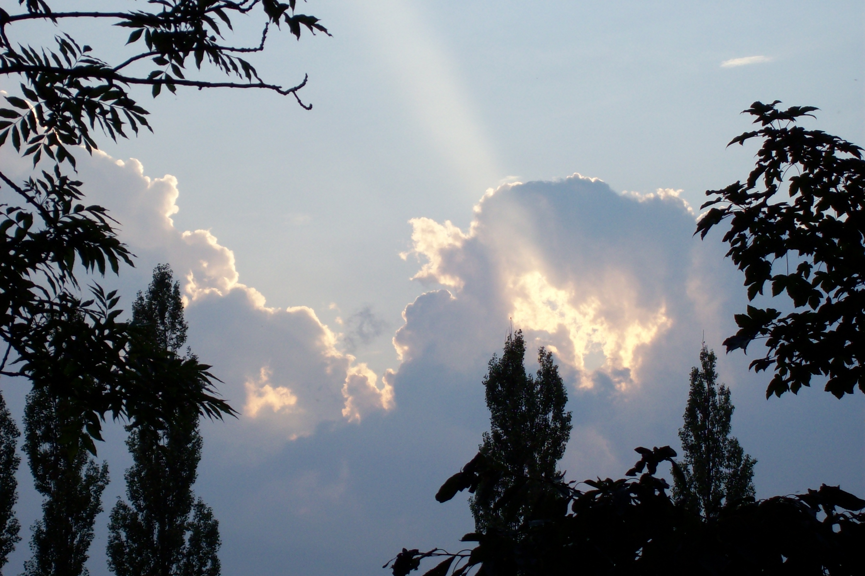 100_1093.jpg