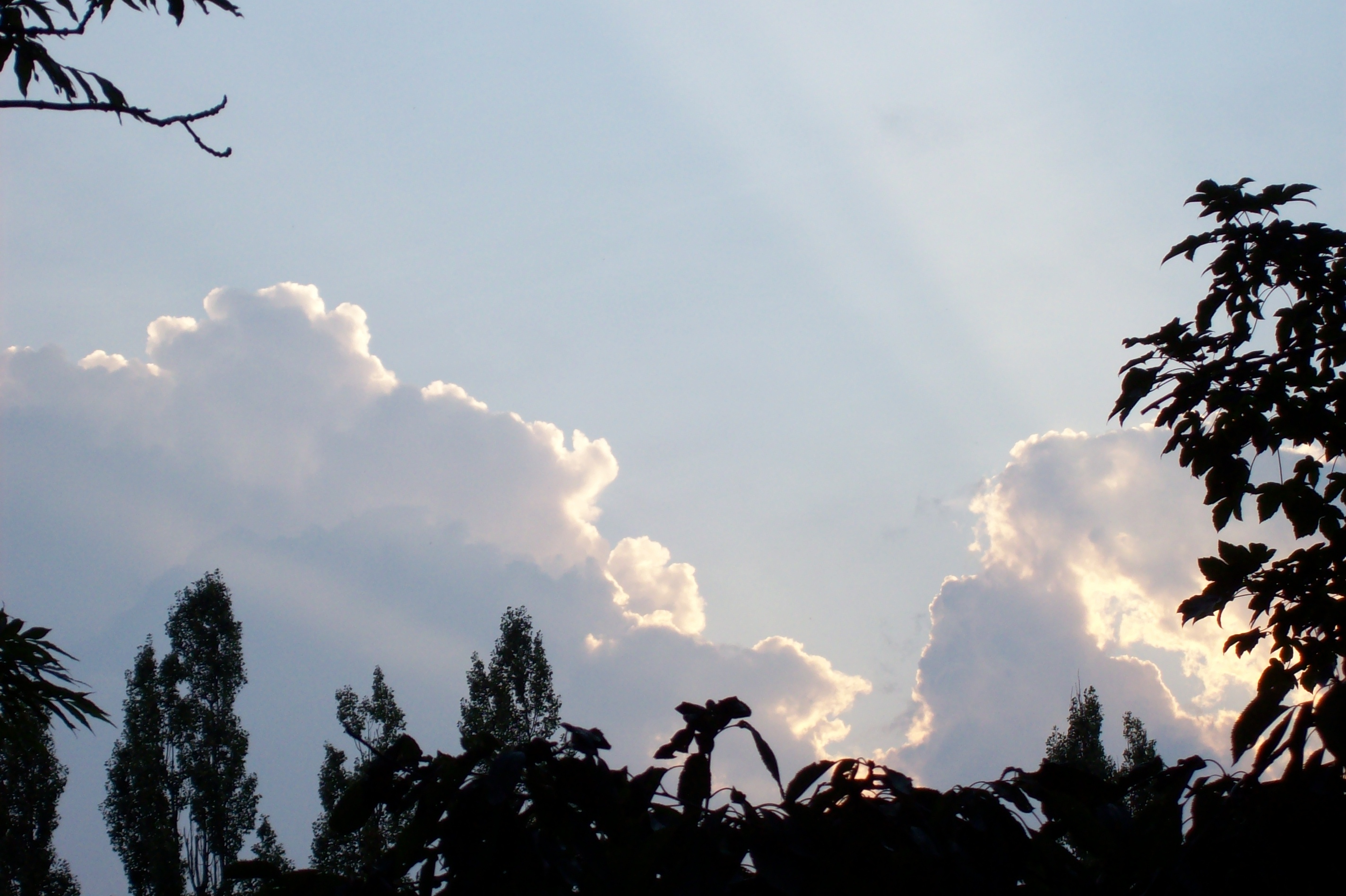 100_1097.jpg