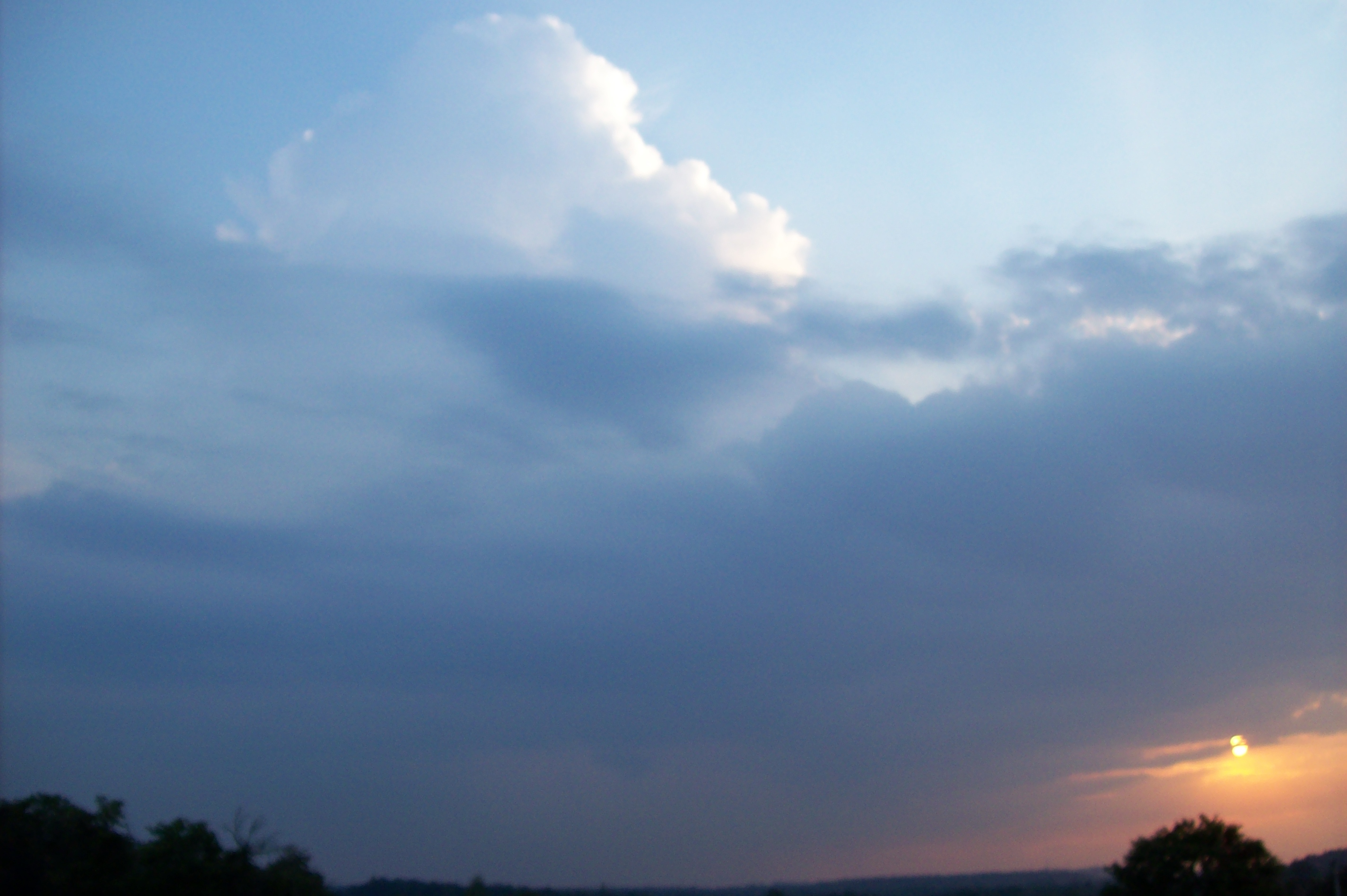 100_1103.jpg