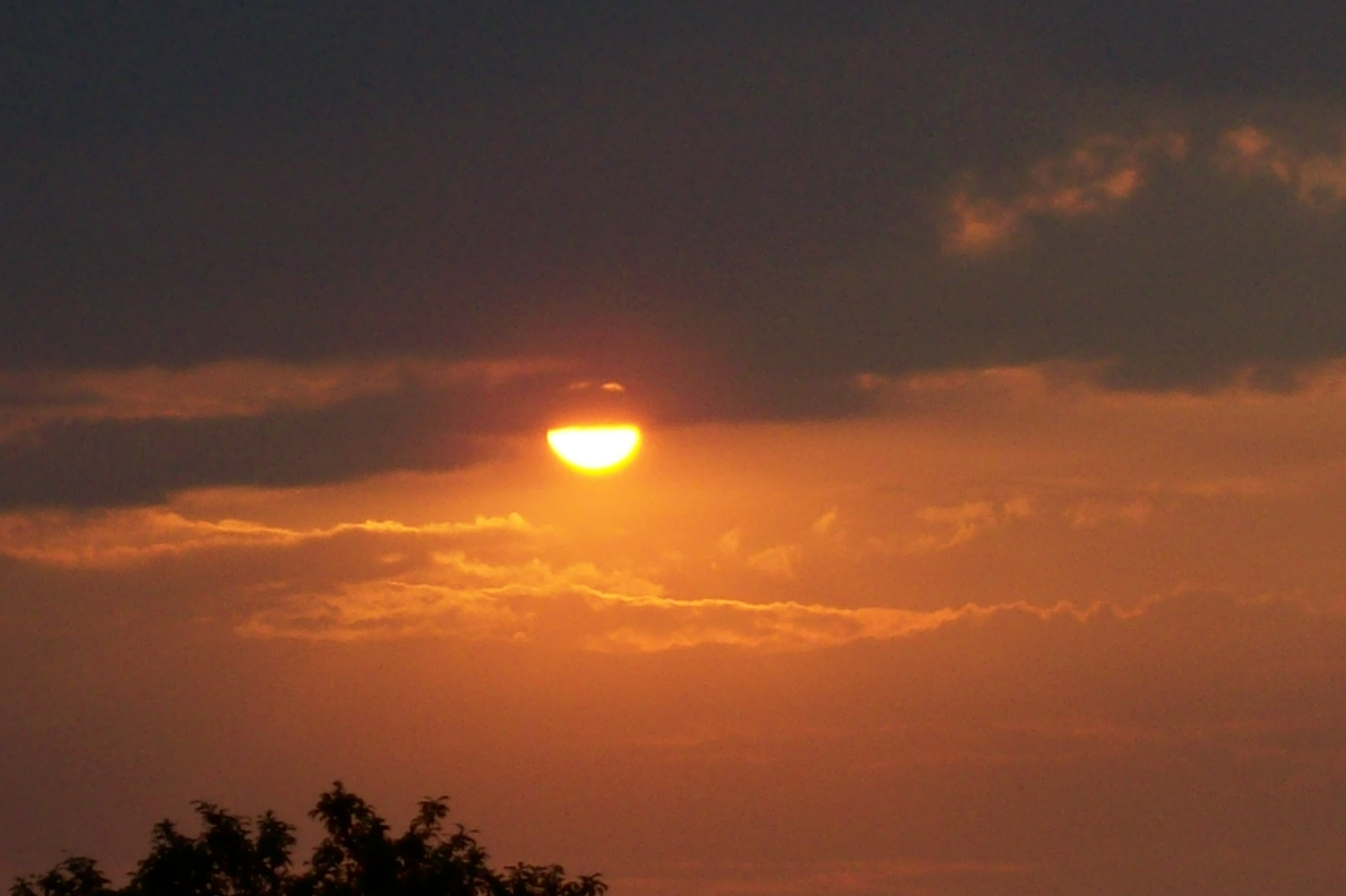 100_1105.jpg