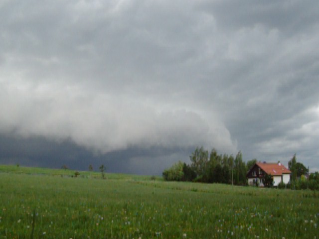 100_0681.jpg